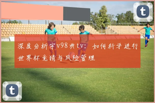 深度分析宇v98典tv：如何科学进行世界杯竞猜与风险管理