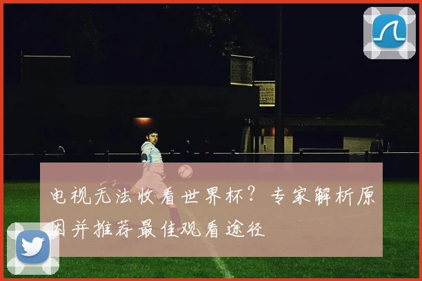 电视无法收看世界杯?专家解析原因并推荐最佳观看途径