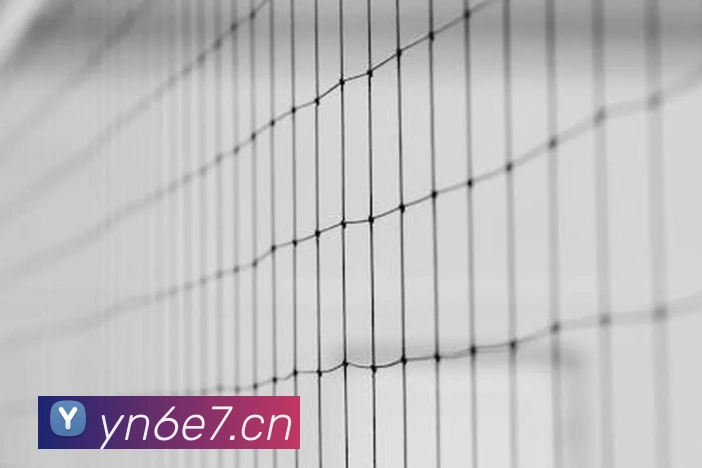 在线足球官网APP 体育赛事宣传图